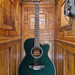 Takamine LTD2025
