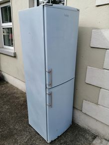 Fridge - Freezer
