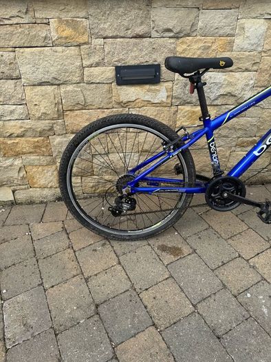 1 adult bike