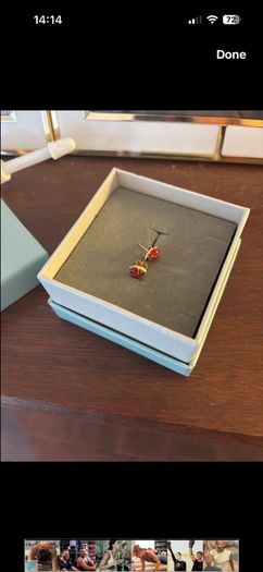gold kids earrings-ladybirds