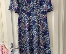 dress size 12