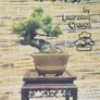 Bonsai Books Image 2