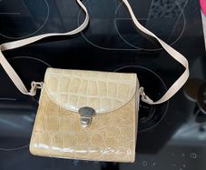 ladies handbag