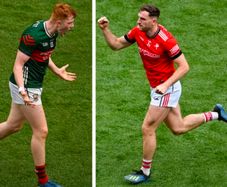 Louth v Mayo - 1 x Adult Printed Ticket