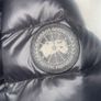 canada goose Image 3