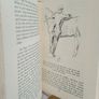 Horse Talks: A Vade-Mecum for Young Riders by Pegasus (PT250) Image 6
