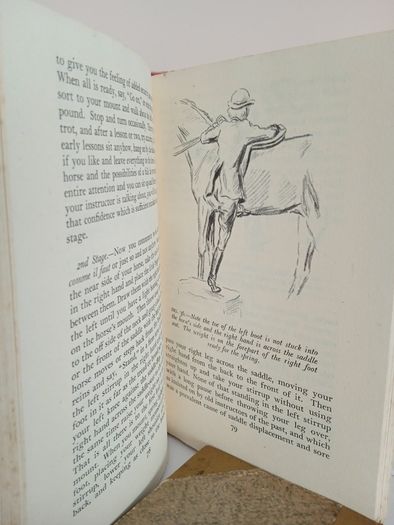 Horse Talks: A Vade-Mecum for Young Riders by Pegasus (PT250)