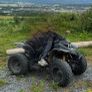 Quad Godzilla Image 2