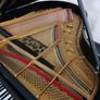 Steinway & Sons | Model O | Fully Rebuilt Image 3