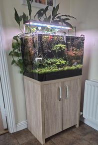 Complete Planted Aquarium Setup & Oak Cabinet