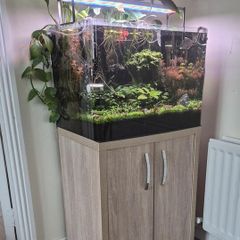 Complete Planted Aquarium Setup & Oak Cabinet