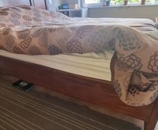 Solid Cherrywood Double (5ft)Bedframe