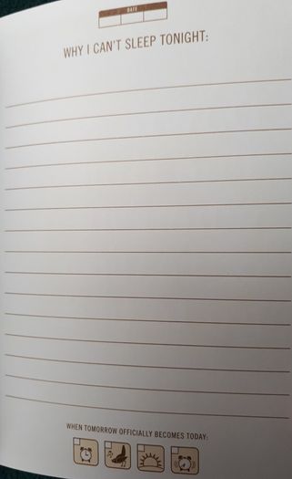 "I Can't Sleep" Journal