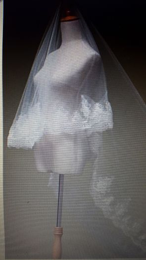 Long Chapel Length Bridal Veil