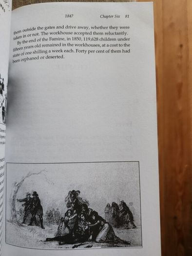 The Irish Famine. An Illustrated History By Helen Litton. First Edition Paperback In Good Condition.
