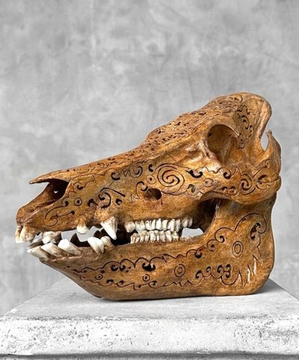 Authentic Hand Carved Wild Boar Skull - Bone