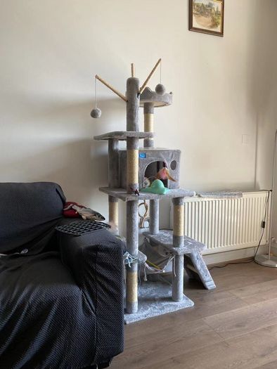 Used cat tree