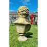 Adonis EG072 Image 2