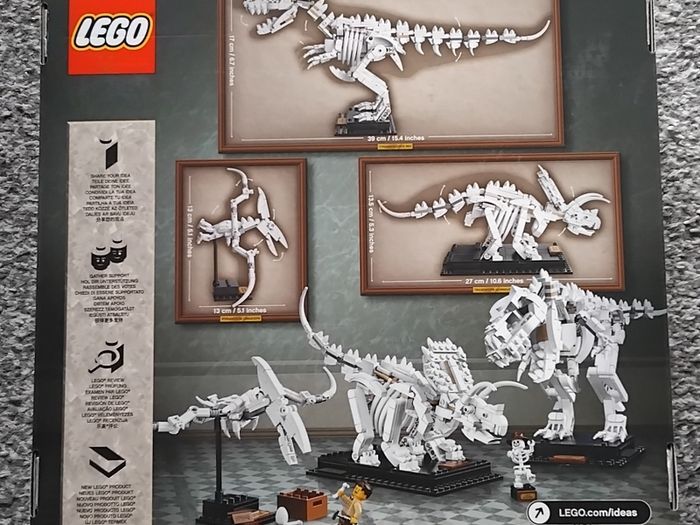 Lego 21320 Dinosaur Fossils