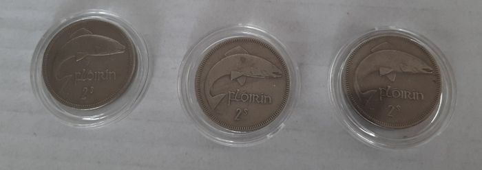 Irish Florin in case