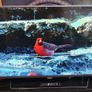 Philips Ambilight 50" Smart tv 2017 Image 4