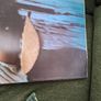 Linda Ronstadt Hasten Down The Wind LP Vinyl 1976 Image 10