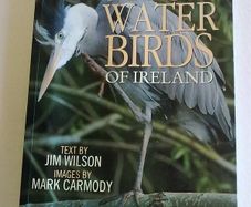 Fresh water birds of Ireland Irish