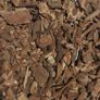 Orchid Fir Bark Image 2