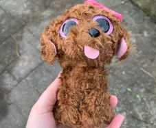 Ty maddie plushie