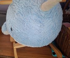 Rocking Narwhal