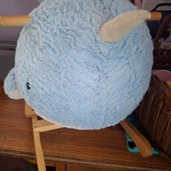 Rocking Narwhal