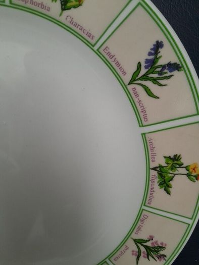 Side Plate - Wild Flowers Design