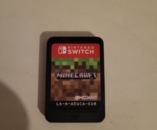 Minecraft Nintendo Switch (QUICK SALE)