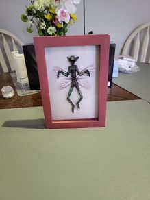Alien creature framed 3D