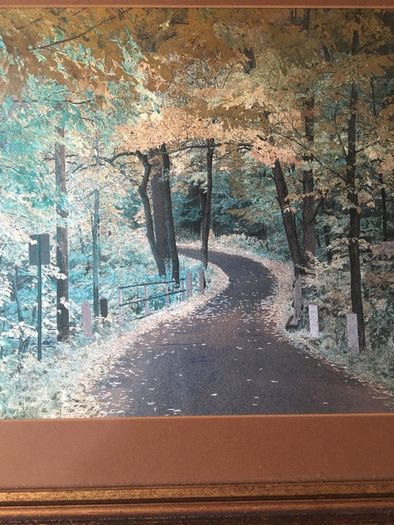 Picture of entrance to forest