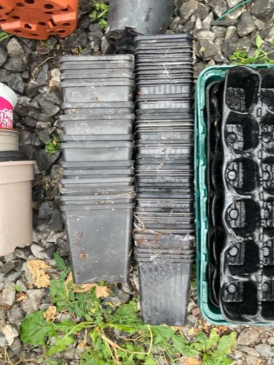 plant pots