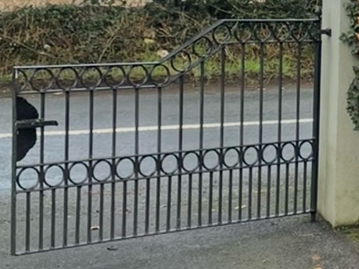 entrance gates
