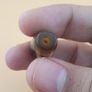 Vintage Himalayan Tibetan 2 Eyes & ZigZag Pattern Agate Bead Lot Of 4 Image 6