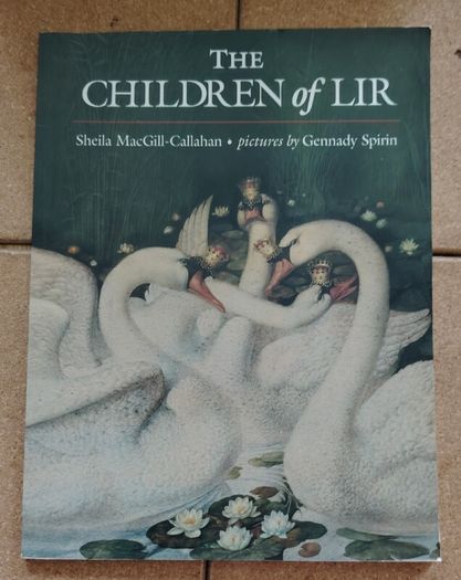 Irish Mythology & Animation Book Bundle  The Secret of Kells & Children of Lir