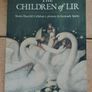 Irish Mythology & Animation Book Bundle  The Secret of Kells & Children of Lir Image 6