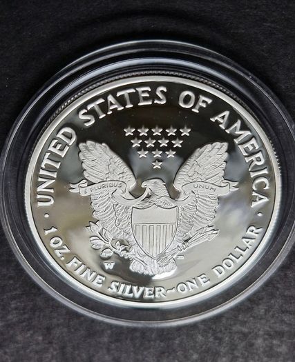 2004 - W American 1 oz Silver Eagle DCAM Proof coin