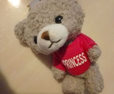 princess teddy keyring