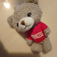 princess teddy keyring