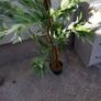 two artificial plants Image 2