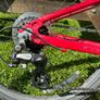 Carrera kids junior bike Image 4