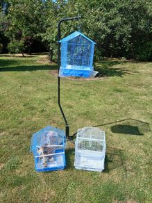 bird cages