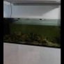 480L fish tank. Image 2