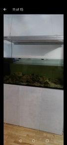 480L fish tank.