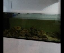 480L marine fish tank with light unit , return pump, skimmer heater