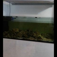 480L marine fish tank with light unit , return pump, skimmer heater